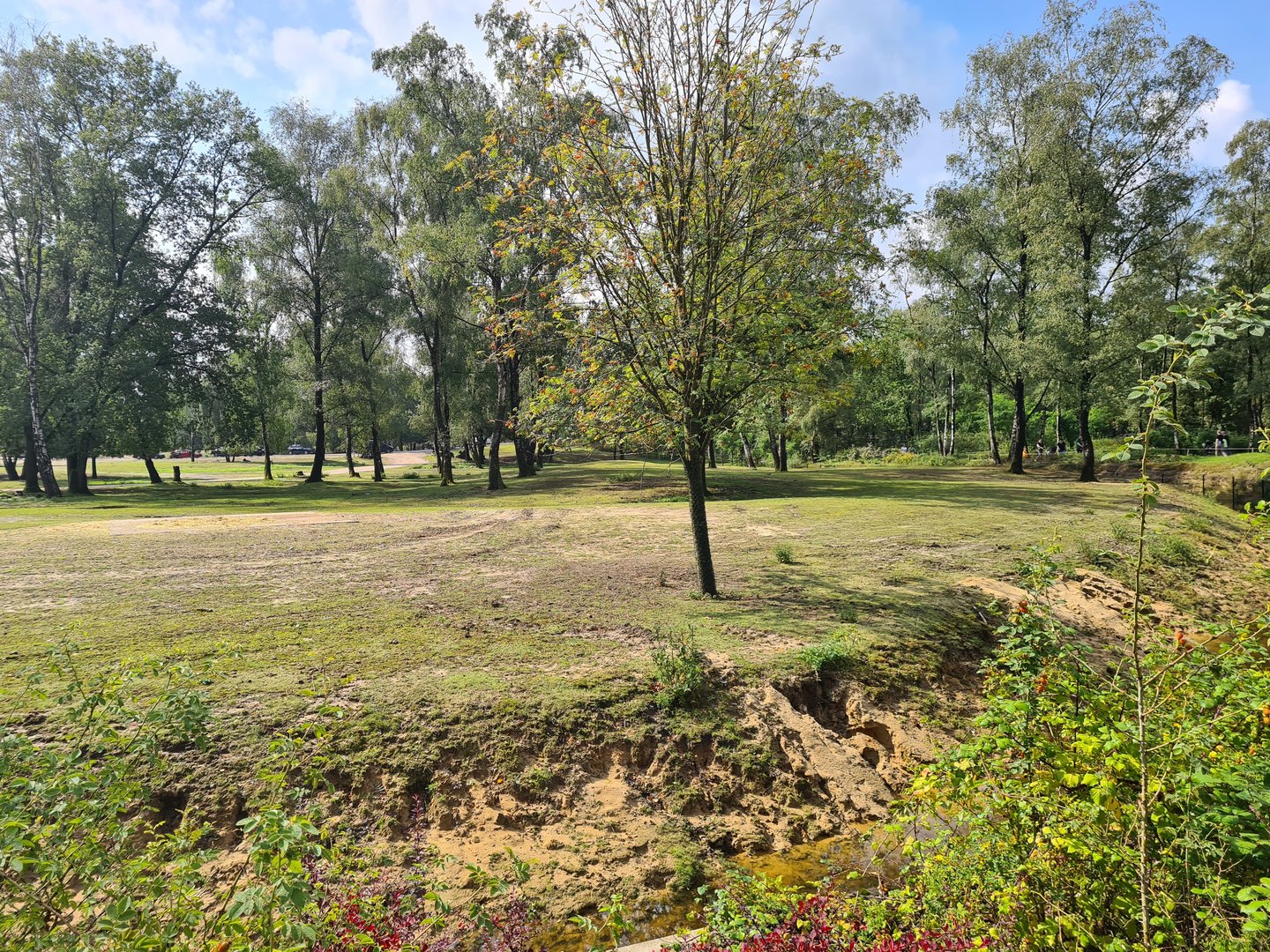 First big Savannah paddock