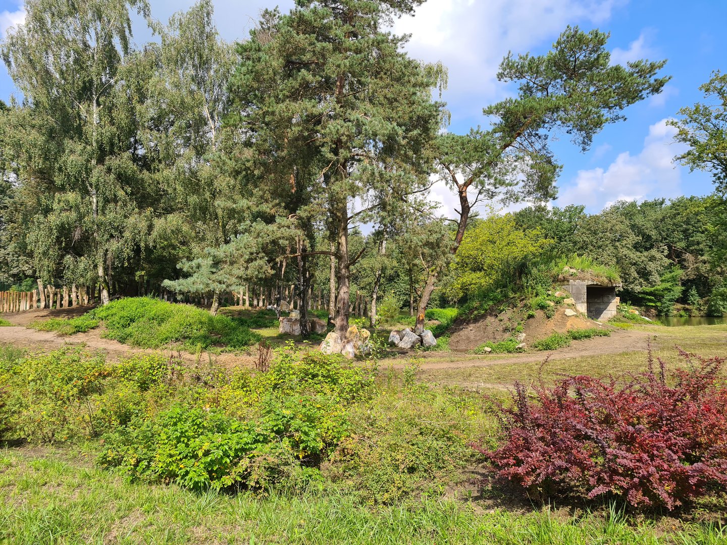 First Black rhinoceros yard