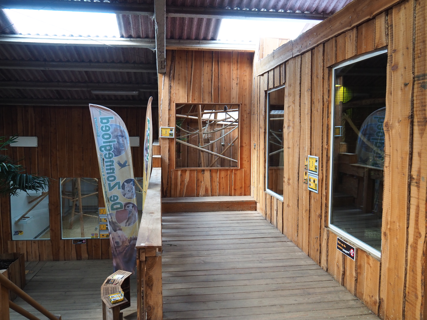 First black tufted-ear marmoset exhibit, 2020-09-12