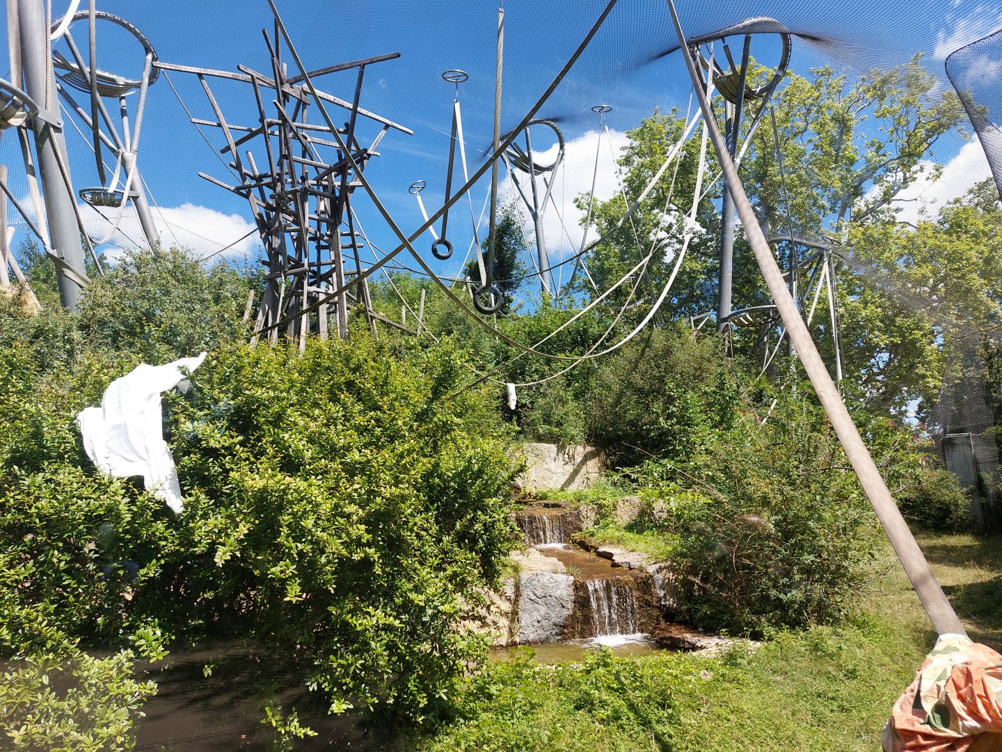 First bonobo enclosure
