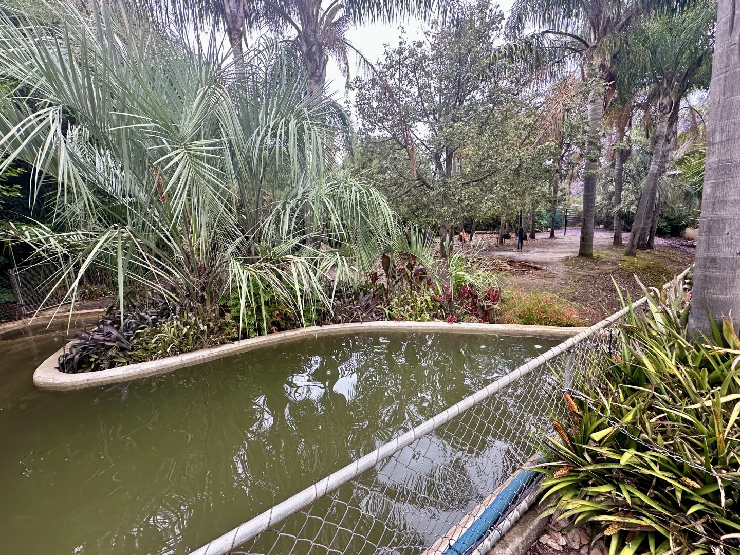 First Brazilian Tapir/Patagonian Mara Exhibit