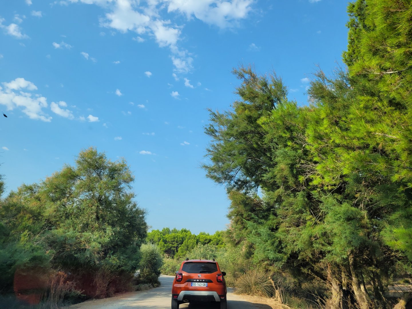 First Brousse exhibit -Réserve Africaine de Sigean (2022)