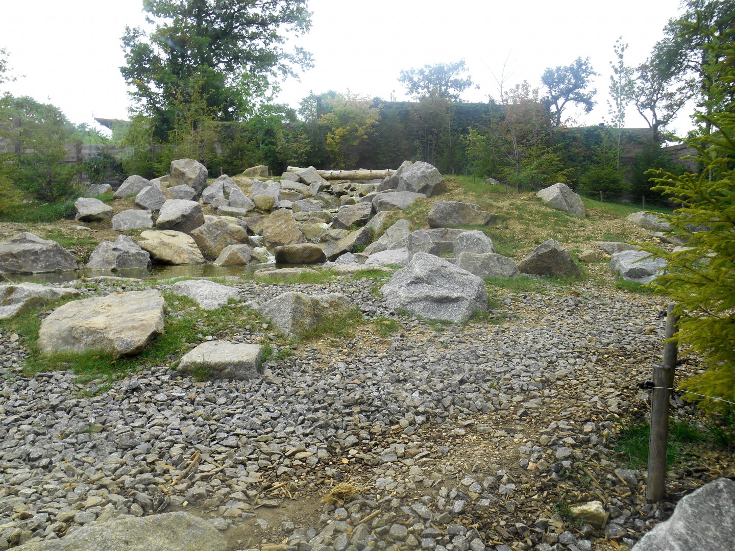 First Brown Bears Exhibit