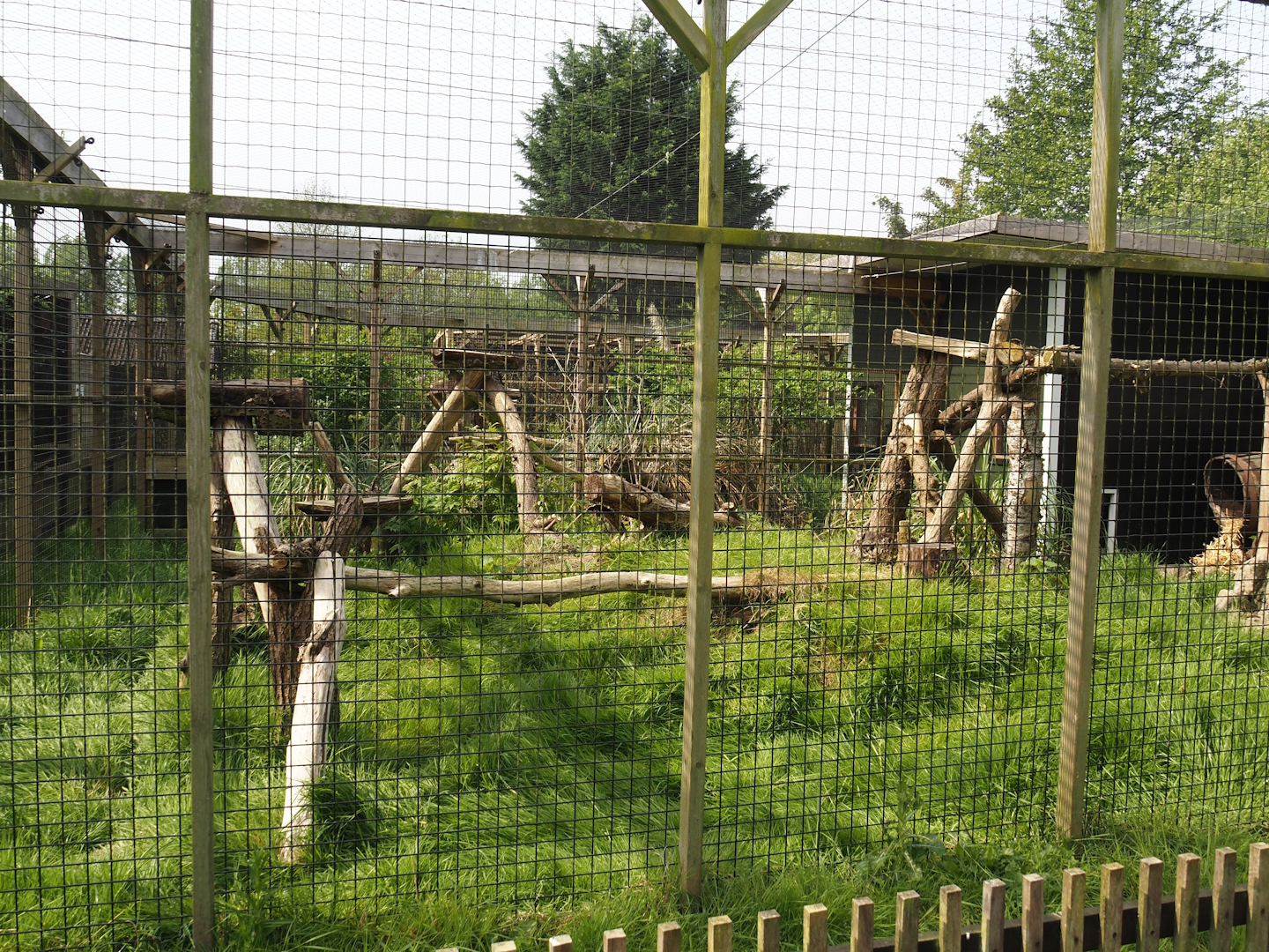 First Caracal exhibit, 2024-05-11
