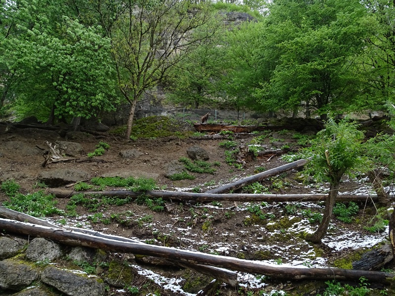 First chamois enclosure