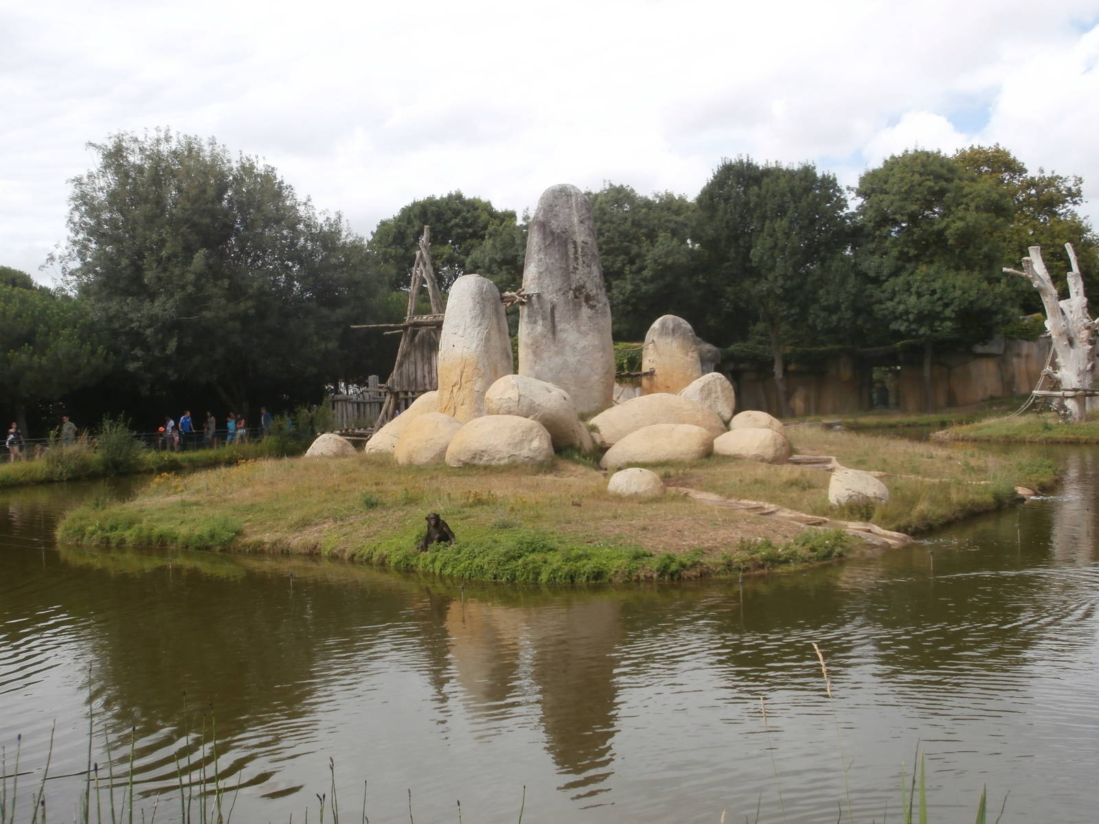 First chimpanzee island