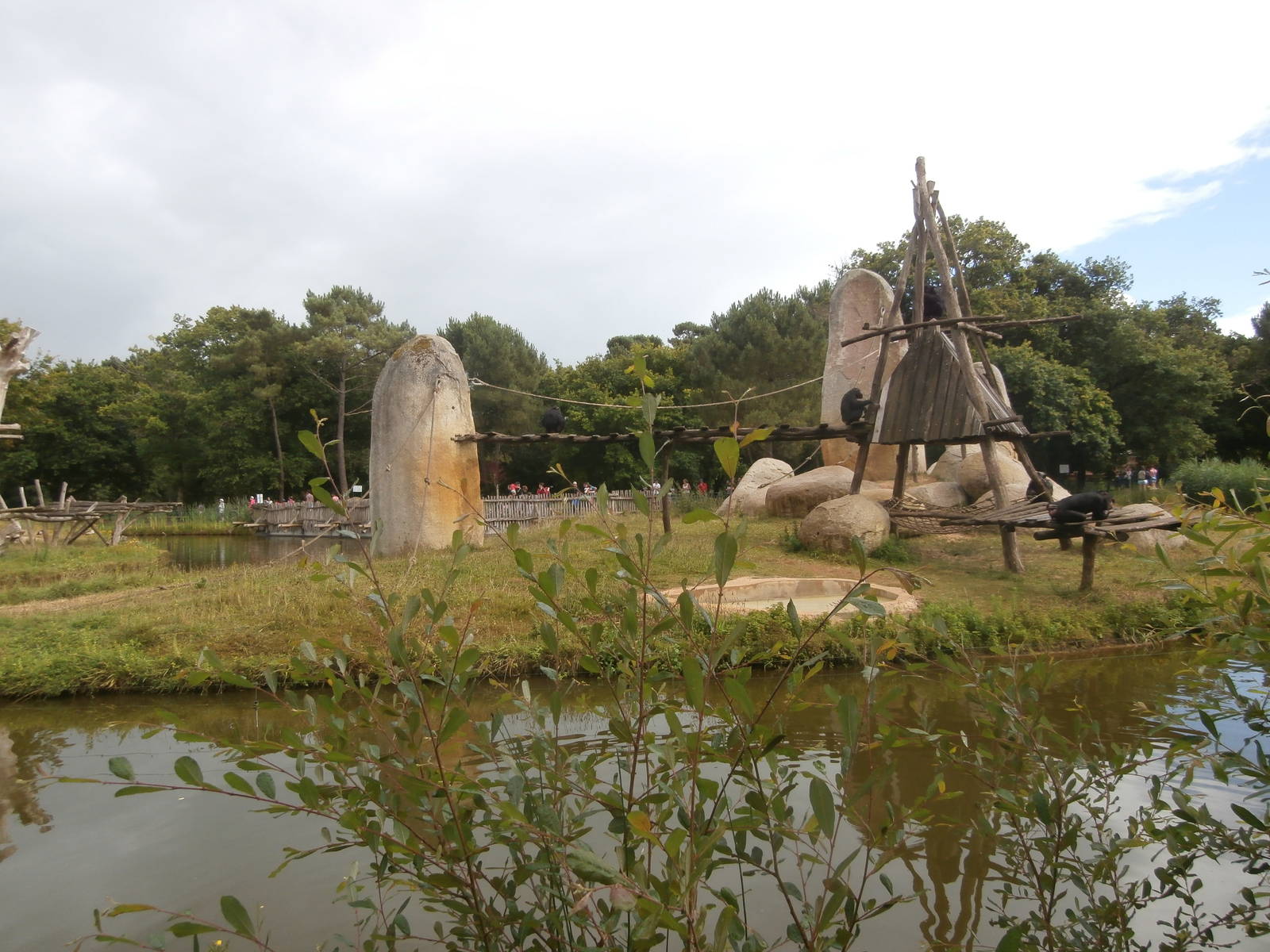 First chimpanzee island