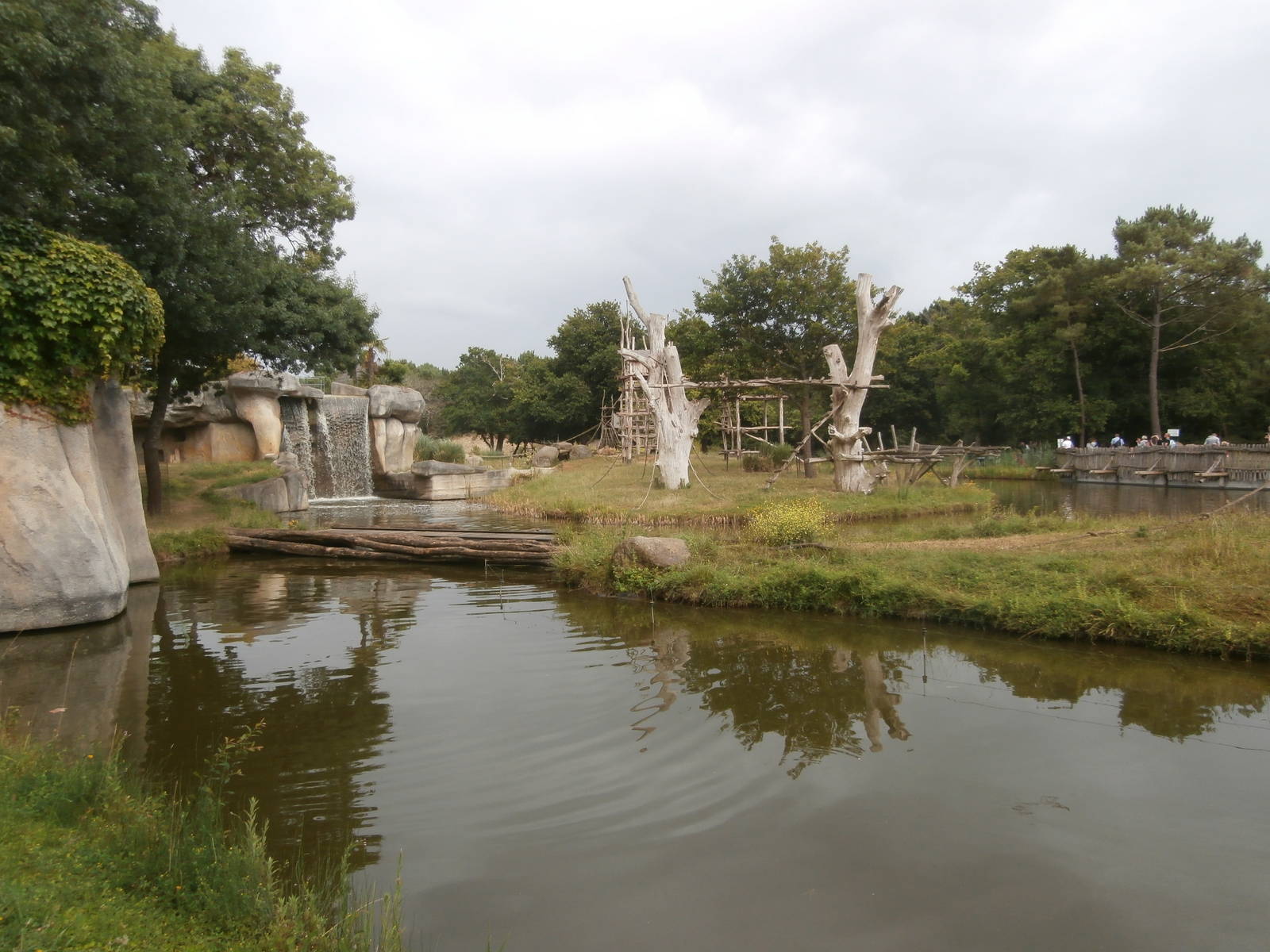 First chimpanzee island