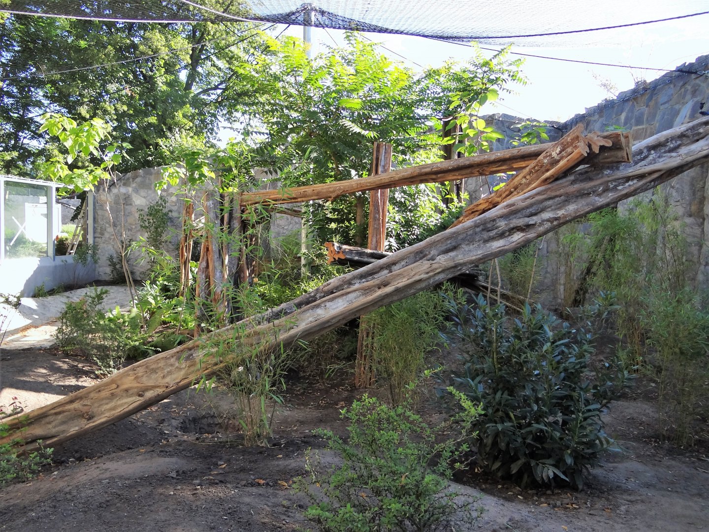 First Clouded Leopard enclosure under construction