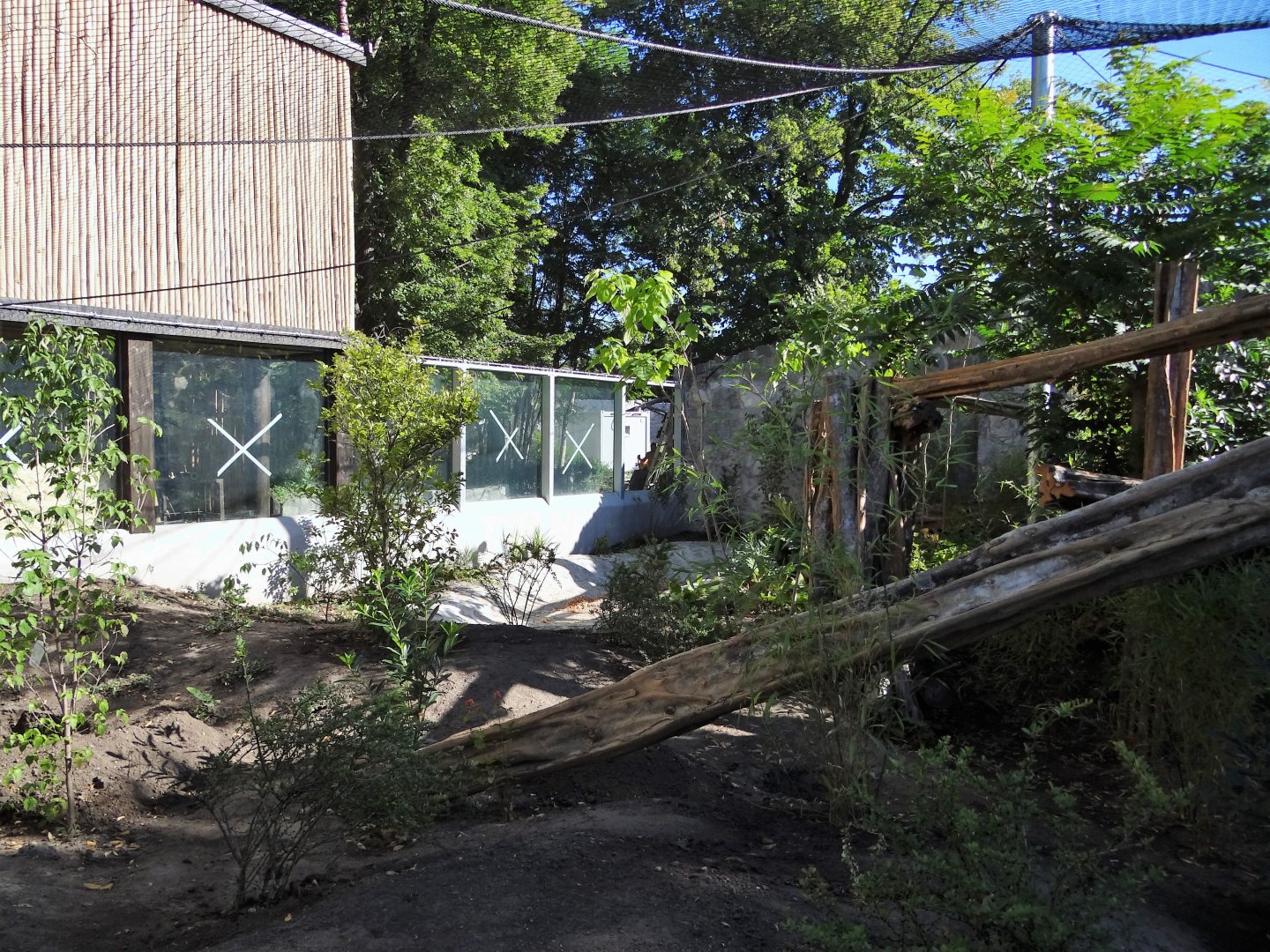 First Clouded Leopard enclosure under construction