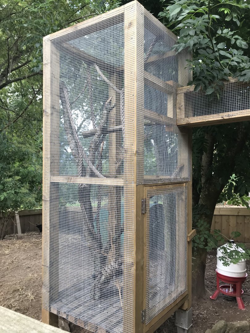 First common marmoset enclosure
