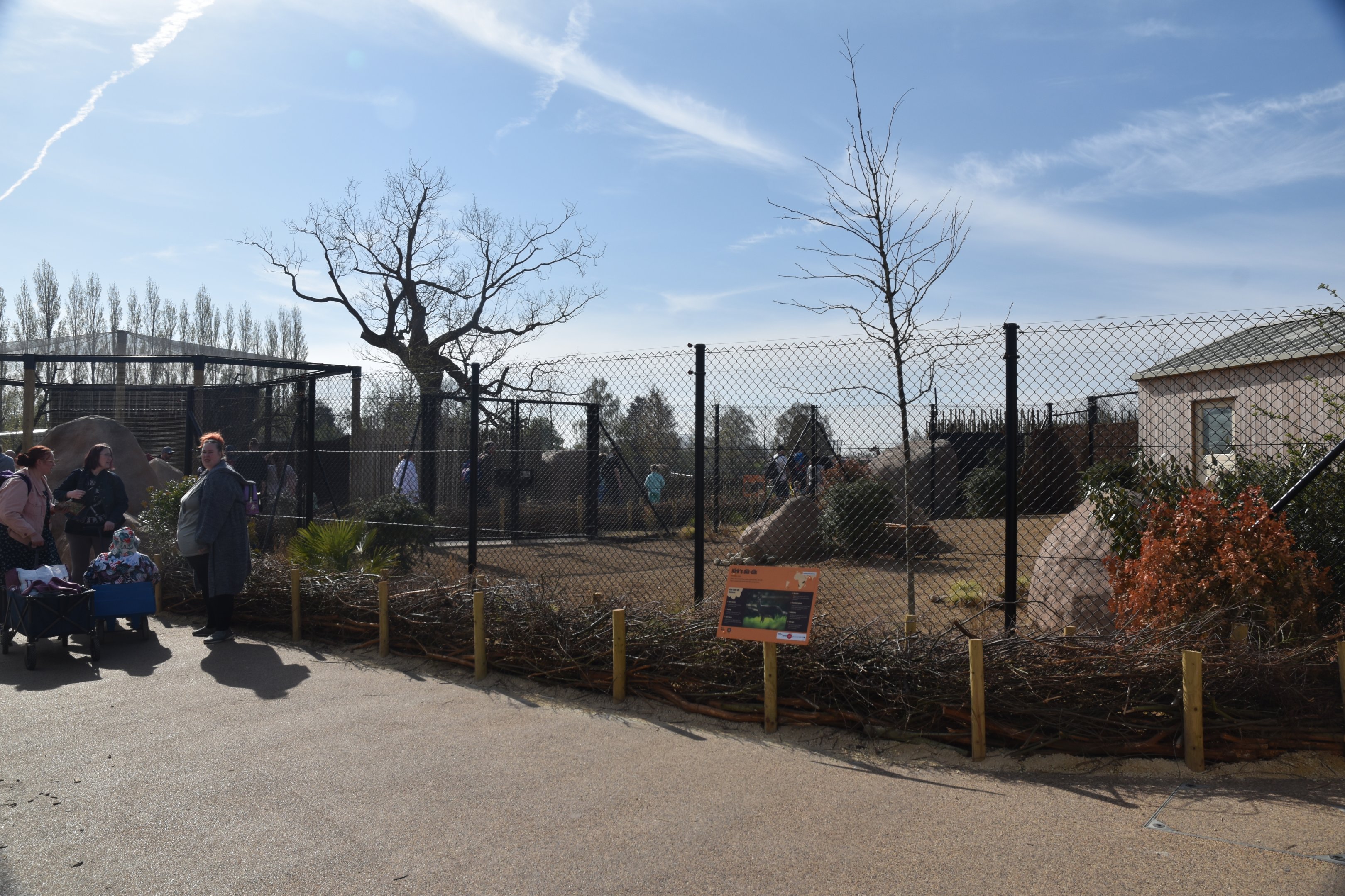 First Dik-dik Enclosure, Heart of Africa at Chester, 12th April 2025