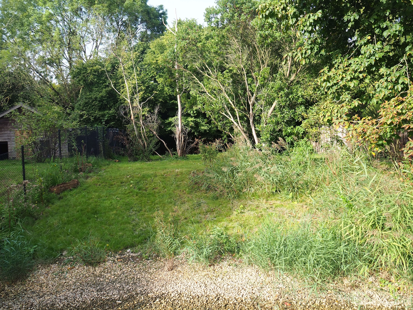 First Double-wattled cassowary exhibit, 2023-09-19