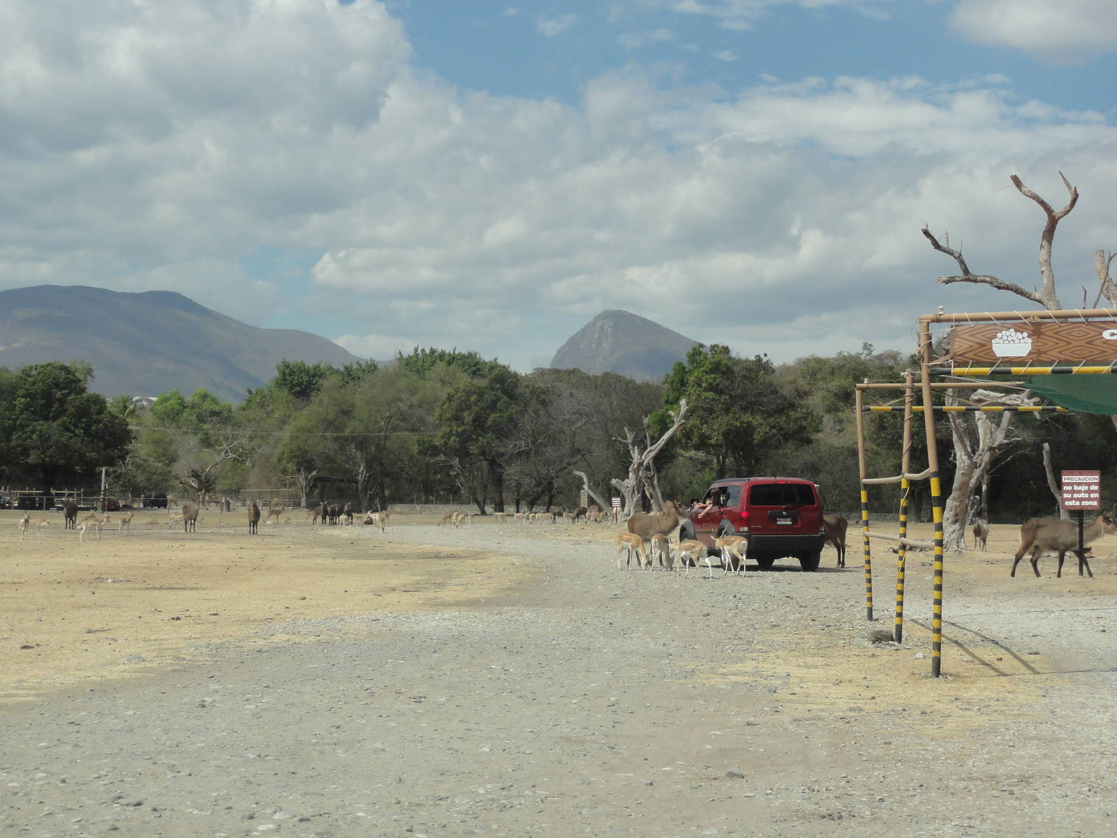 First drive thru area - food stall to the right