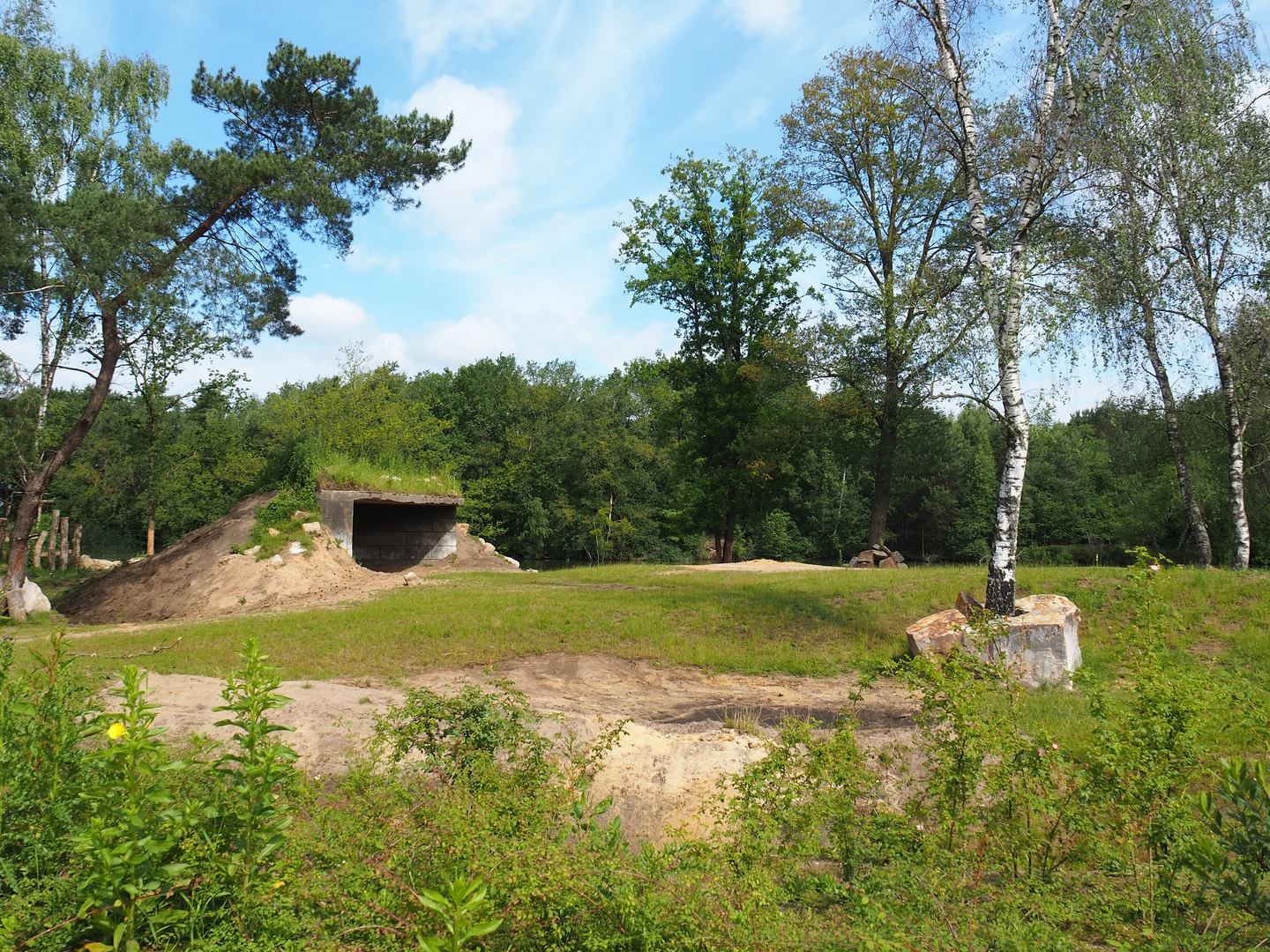 First Eastern black rhinoceros exhibit, 2022-06-12