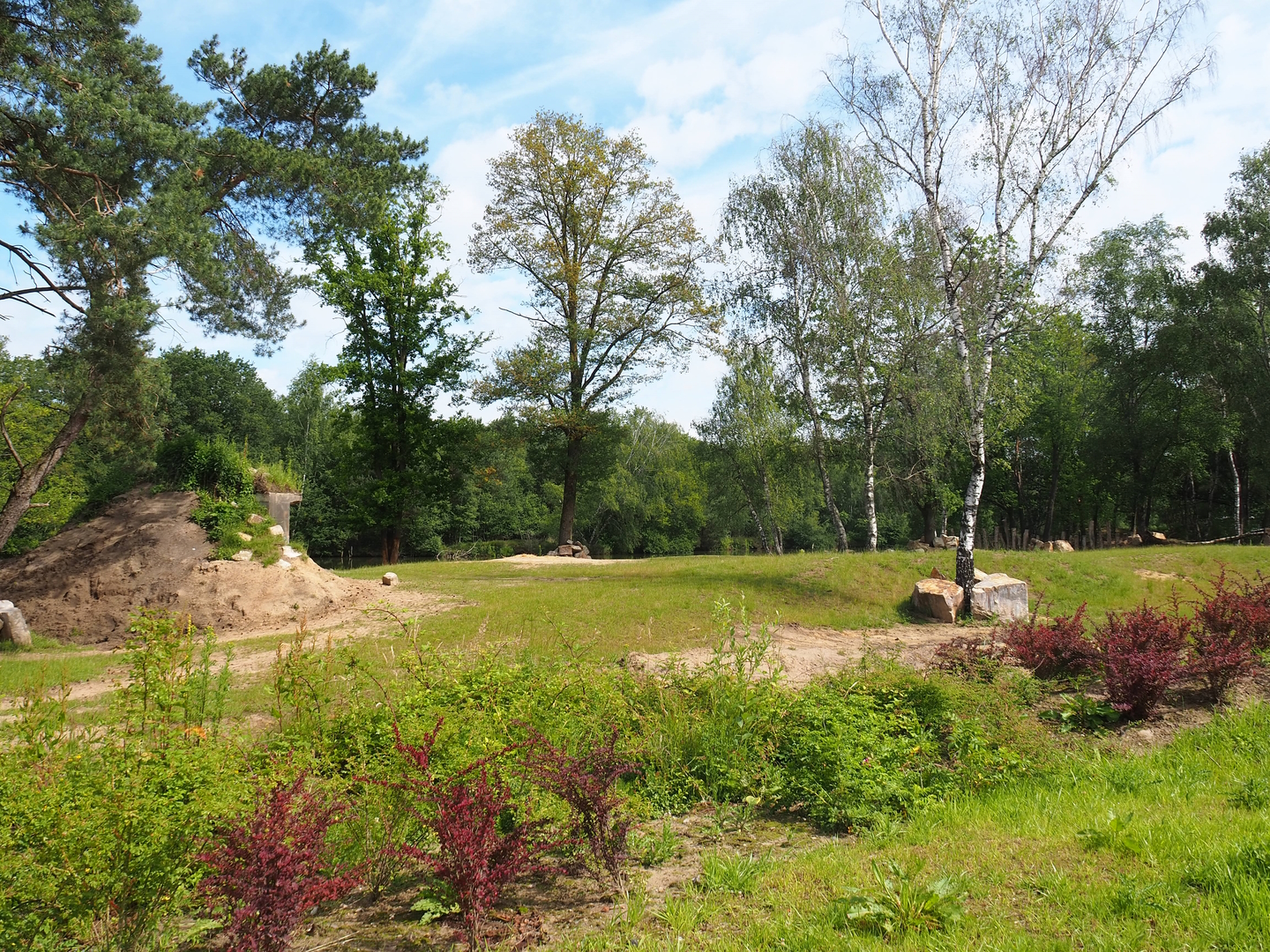 First Eastern black rhinoceros exhibit, 2022-06-12