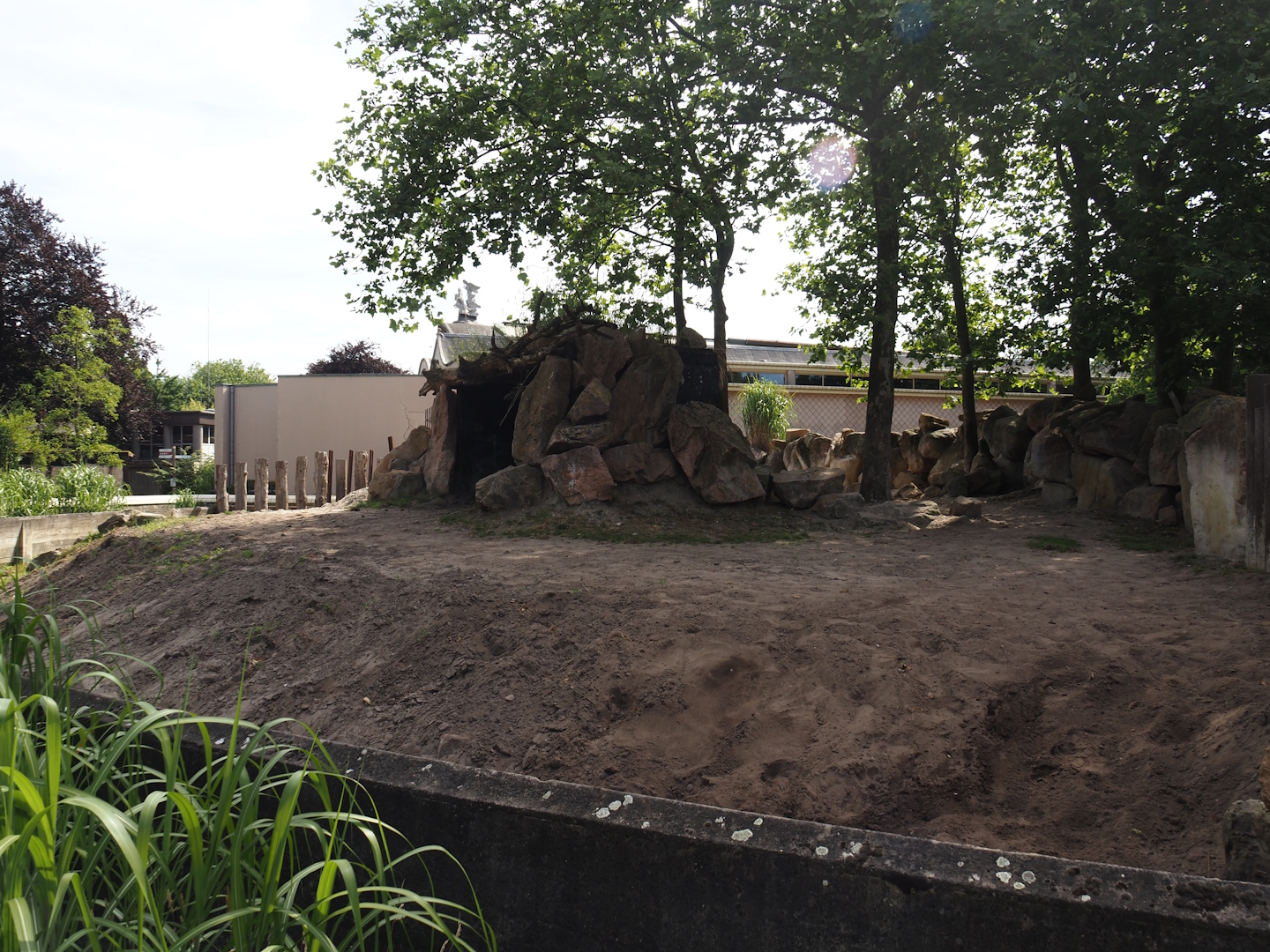 First Eastern black rhinoceros paddock, 2024-06-30