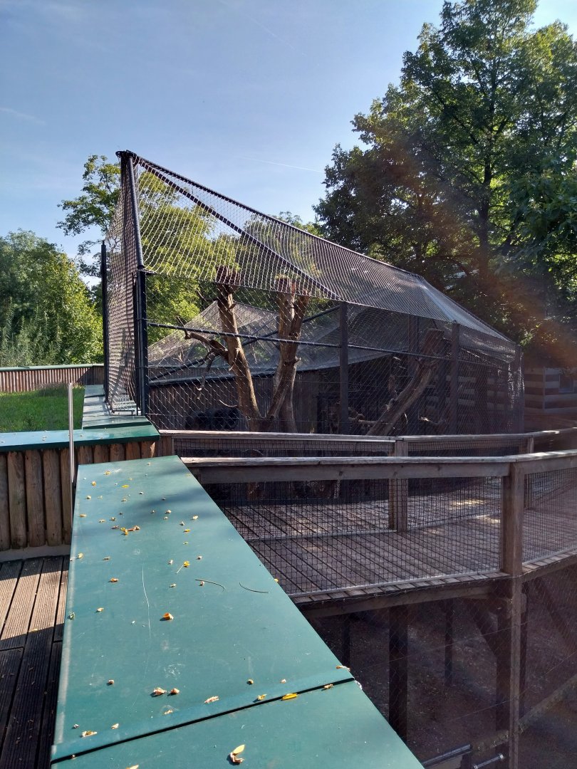 First enclosure for lion-tailed macaque