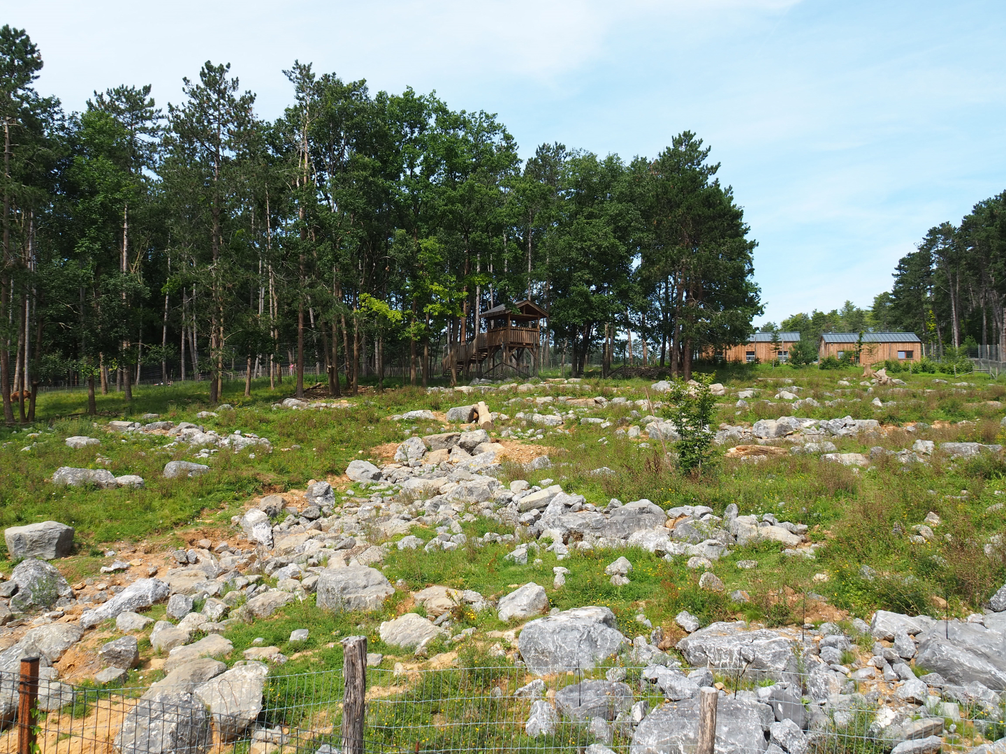 First Eurasian brown bear exhibit - Exhibit for four young male bears, 2021-08-15