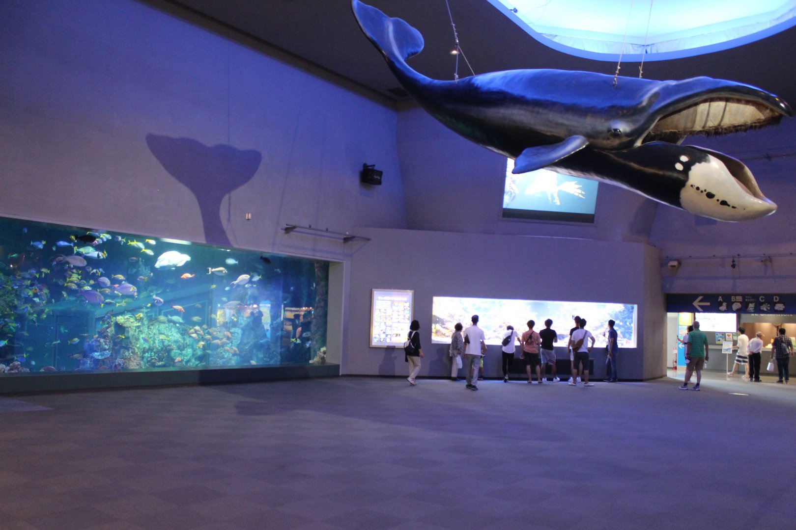 First exhibit among entry