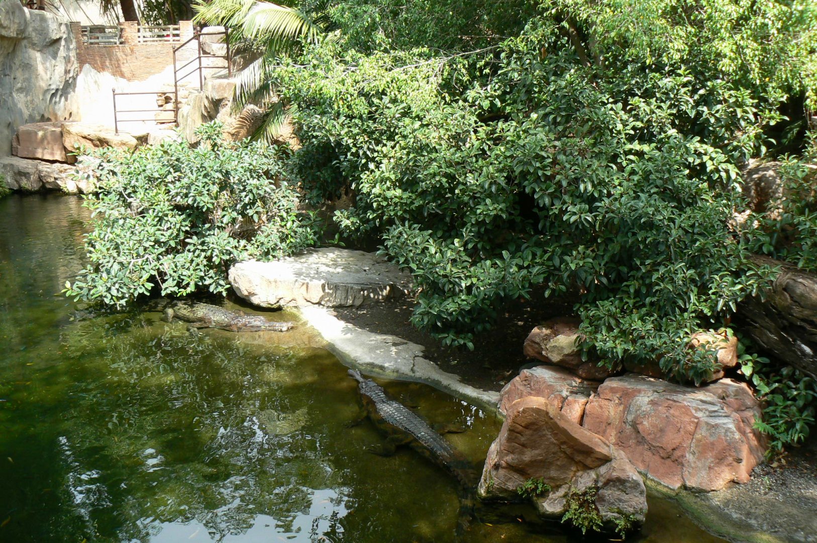 First false gharials exhibit