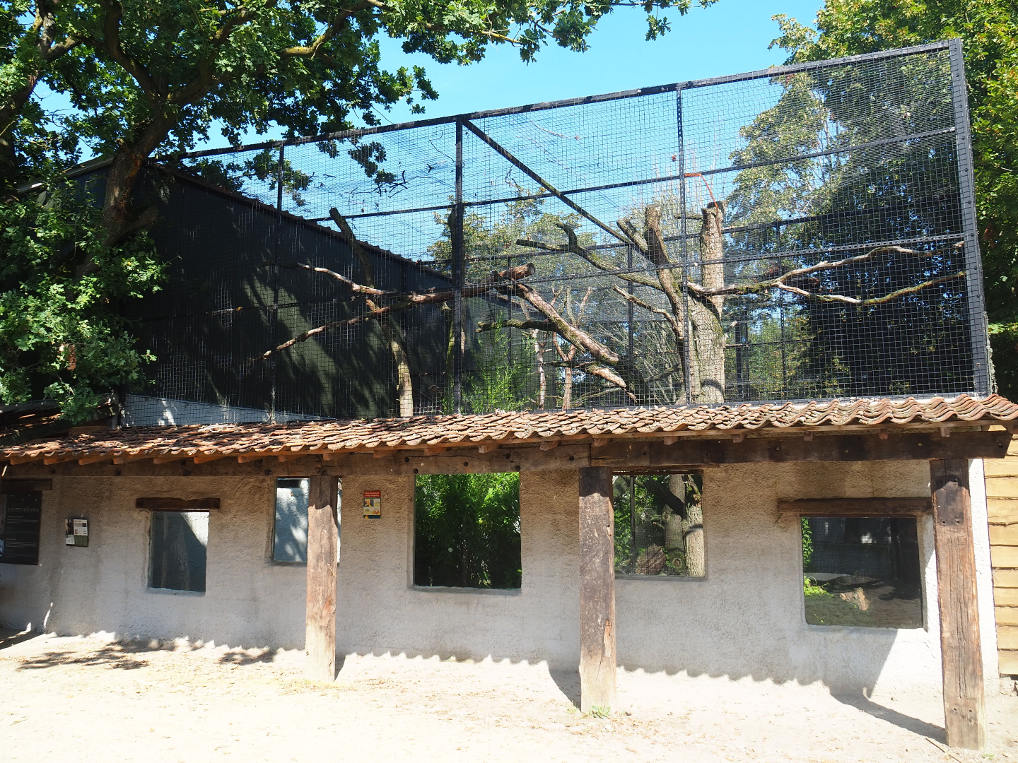 First fossa exhibit and viewing area, 2019-08-04