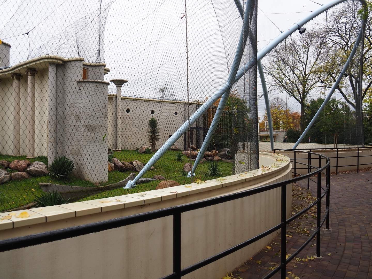 First gelada exhibit and viewing area (Nov 10th, 2018)