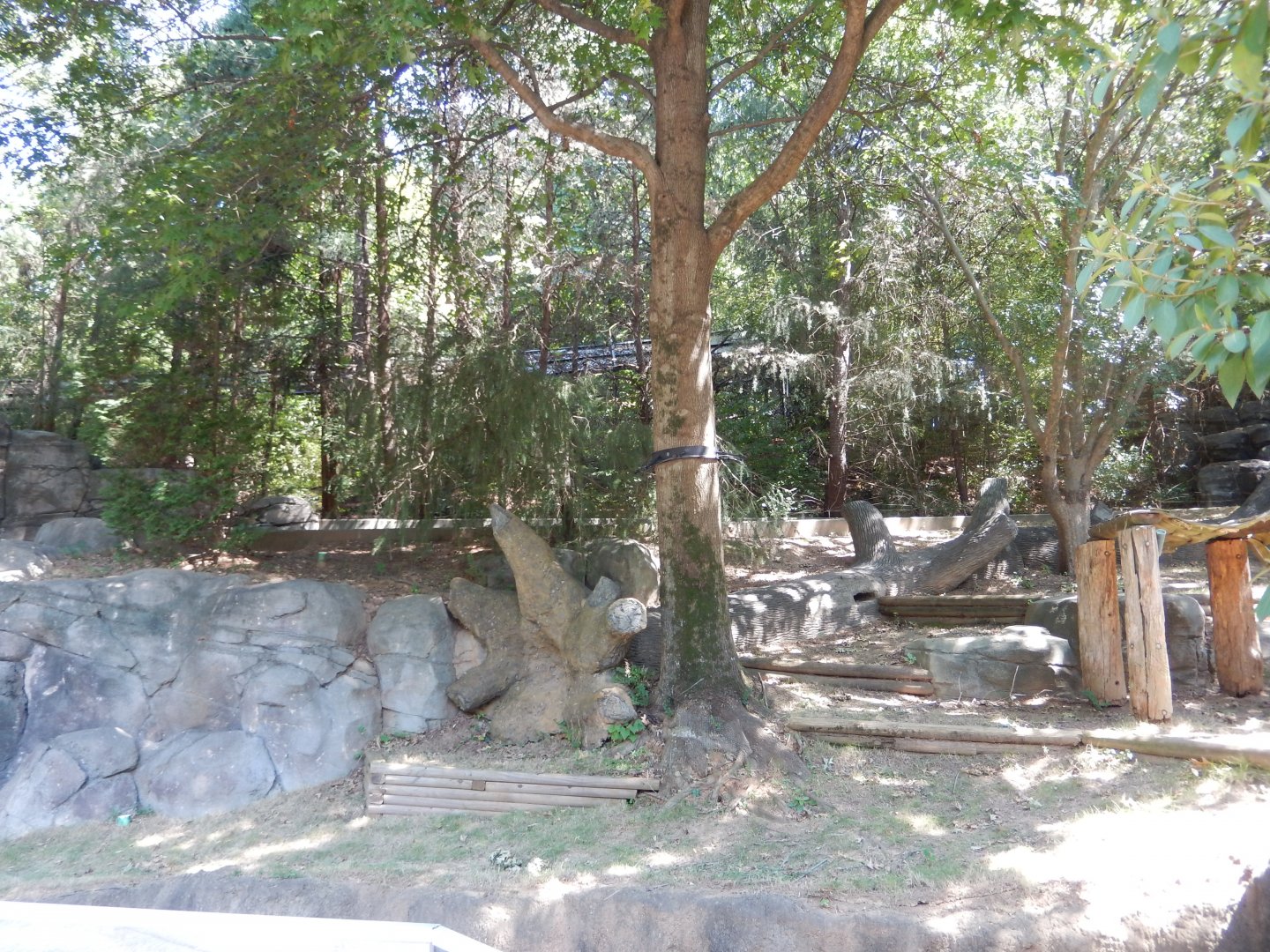 First Giant Panda Habitat