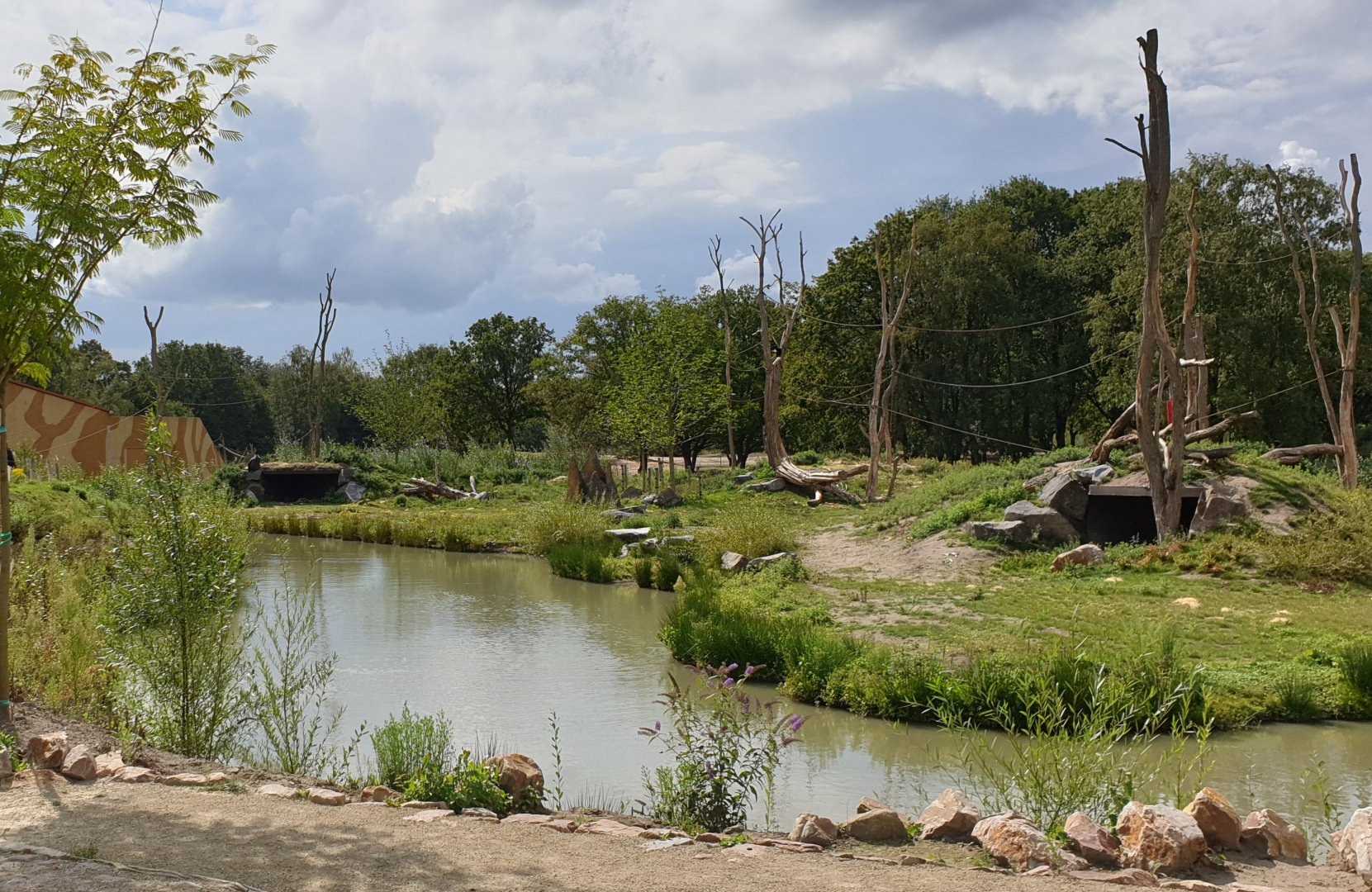 First Gorilla and Mangabey island