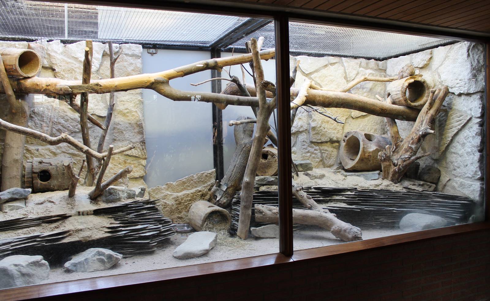 First Gundi enclosure