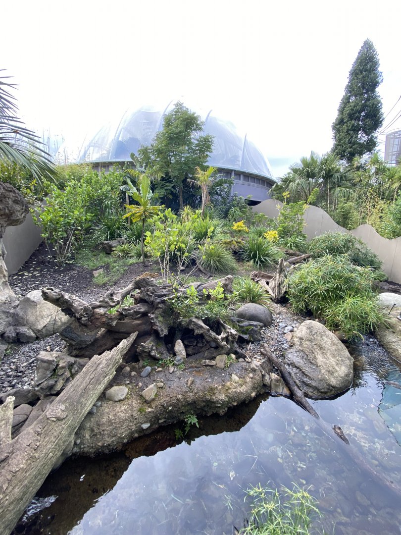 First half of Asian Short Clawed Otter enclosure