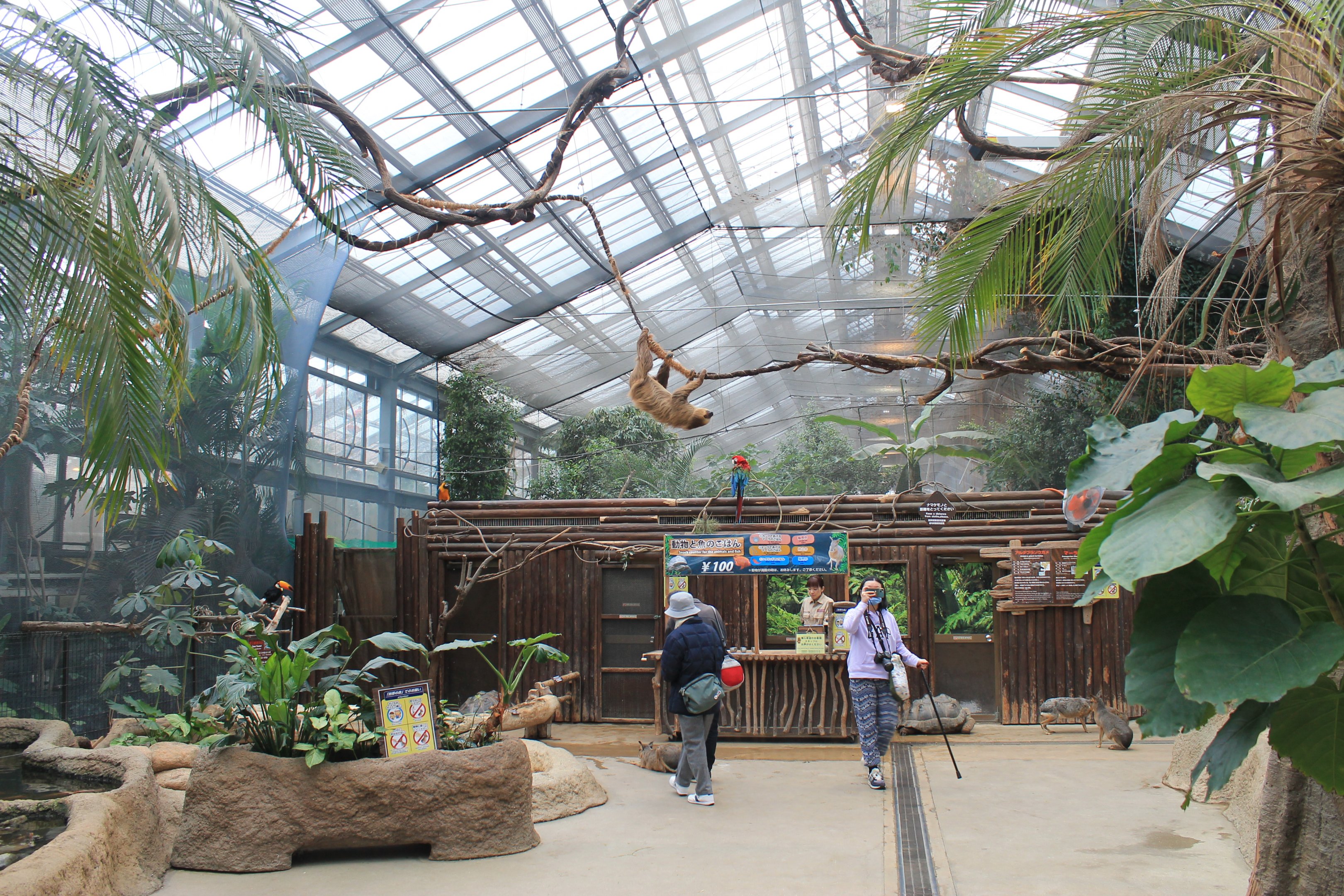First hall of Tropical Forest