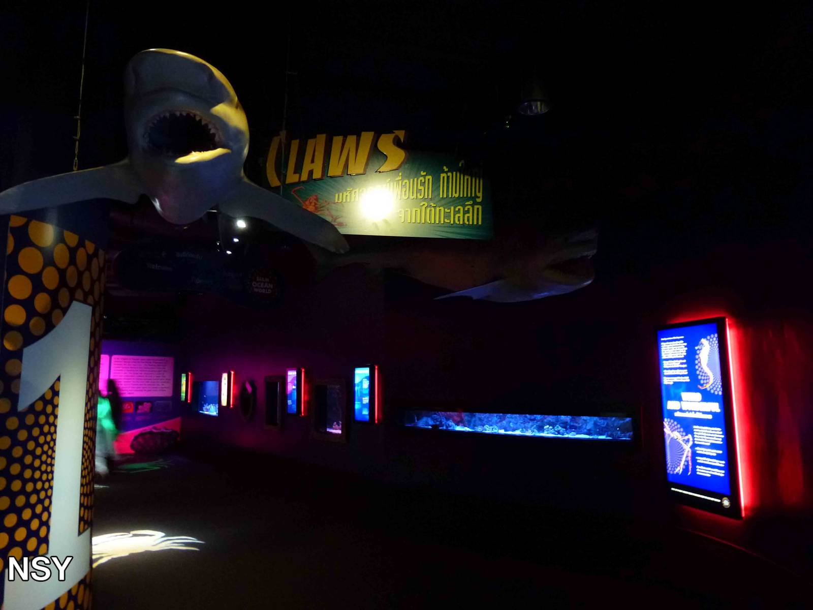 First hall - 'weird and wonderful', June 2013.