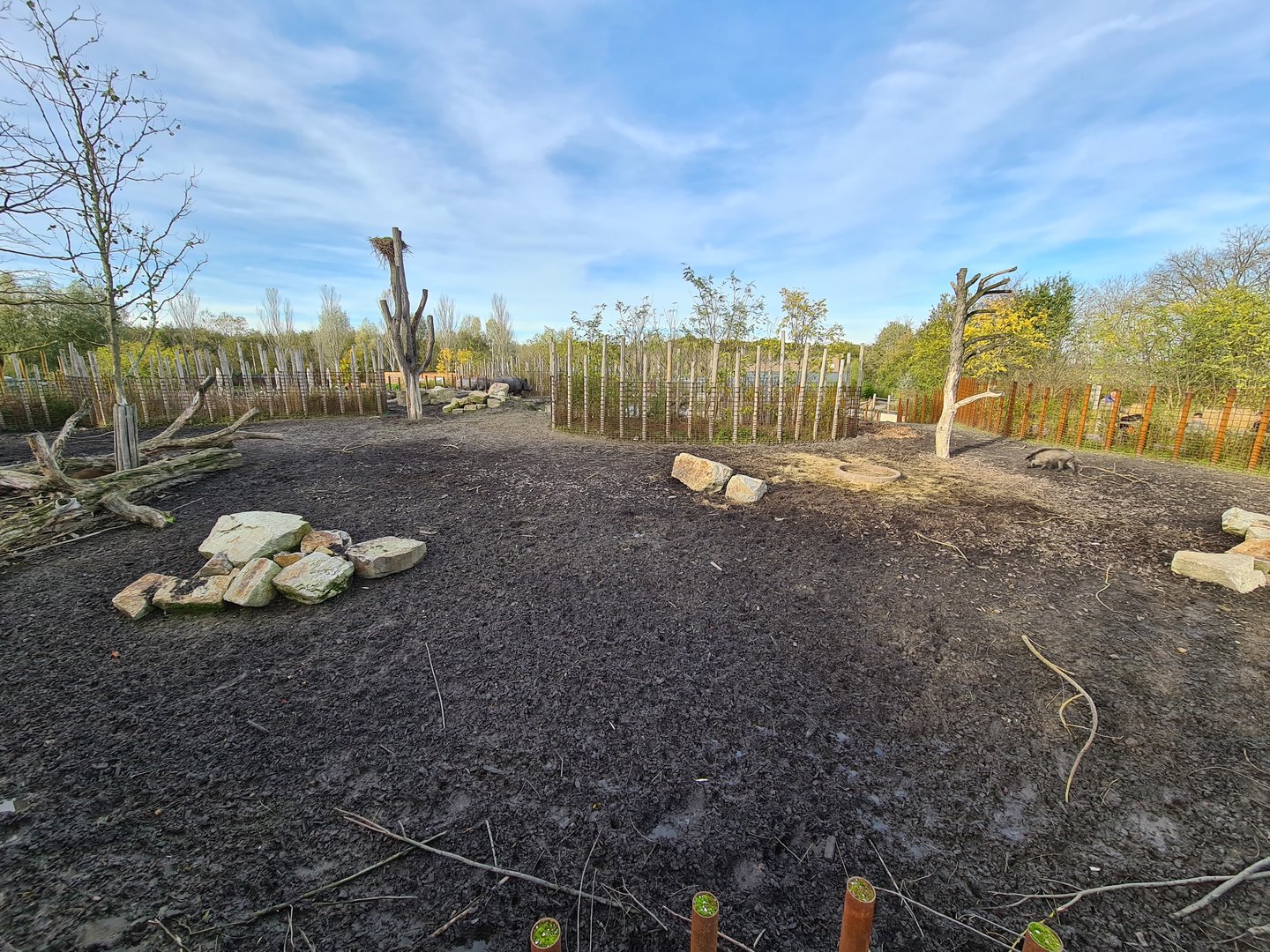 First Indian Rhinoceros enclosure