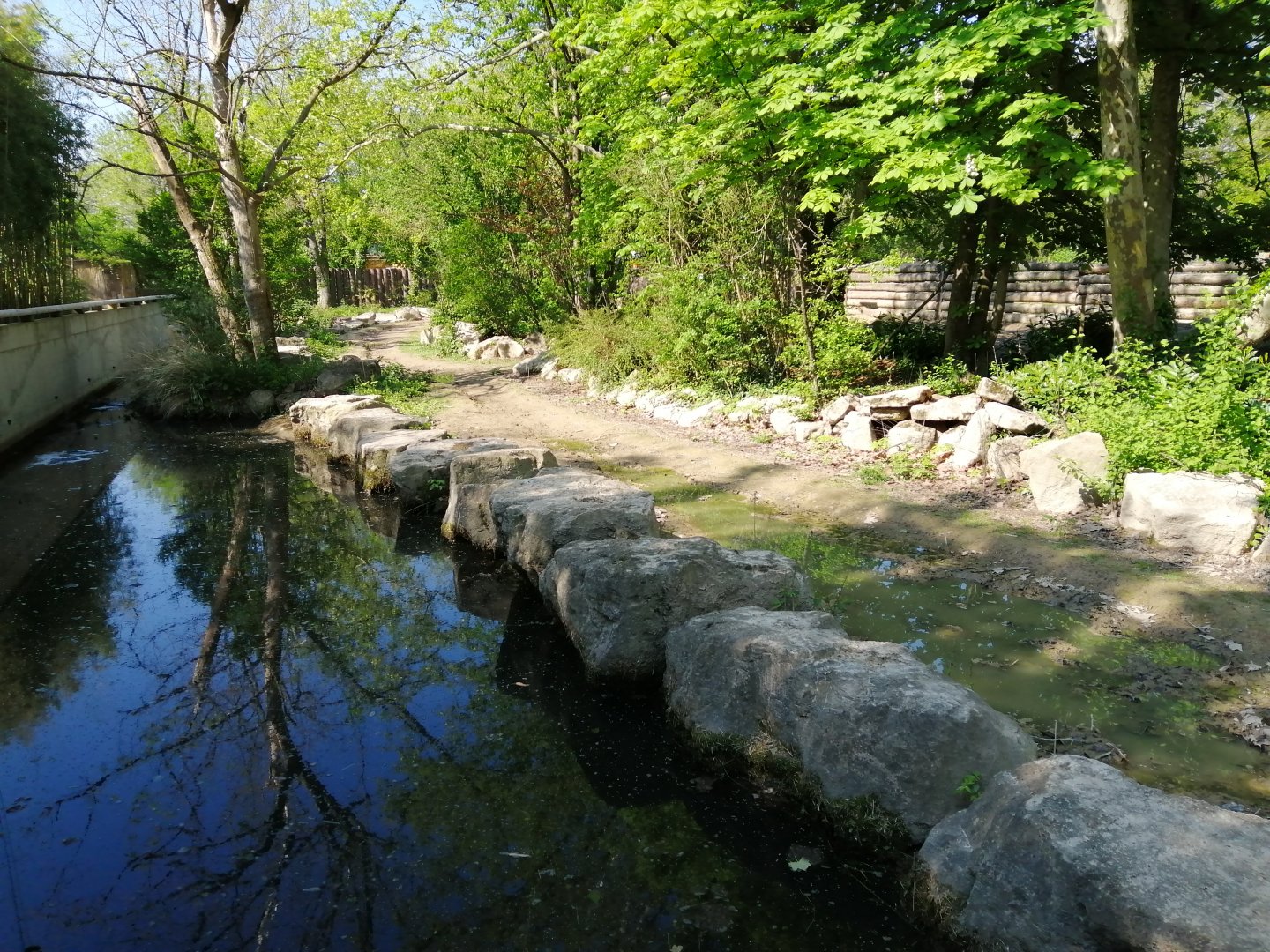 First Indian Rhinoceros Exhibit