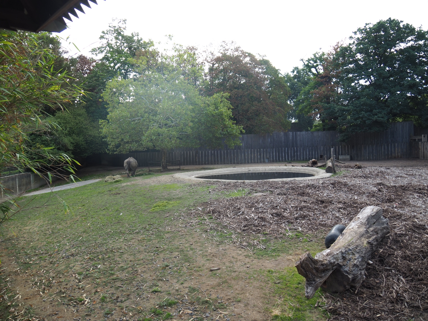 First Indian rhinoceros paddock