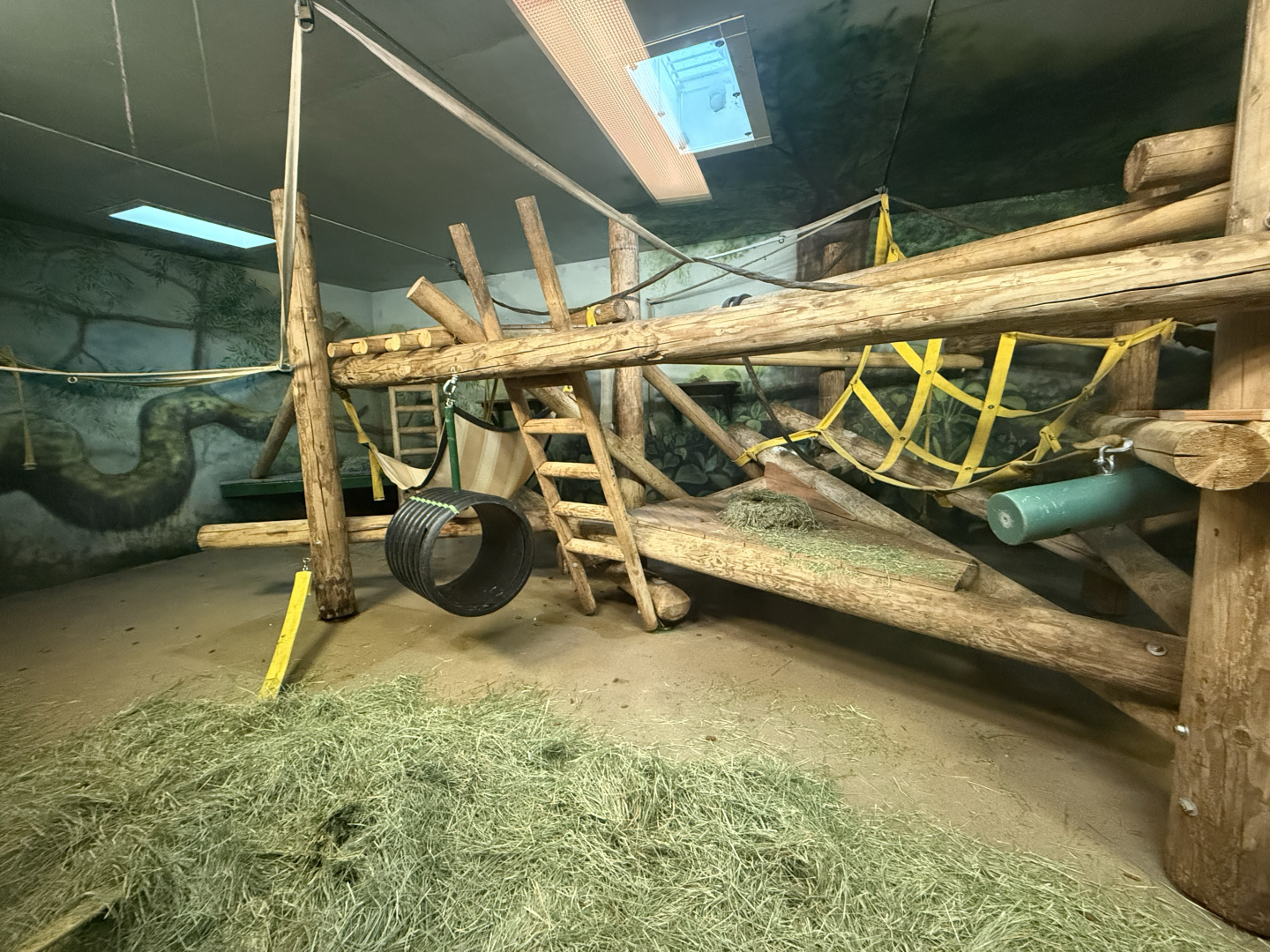 First Indoor Gorilla Habitat - Great Apes