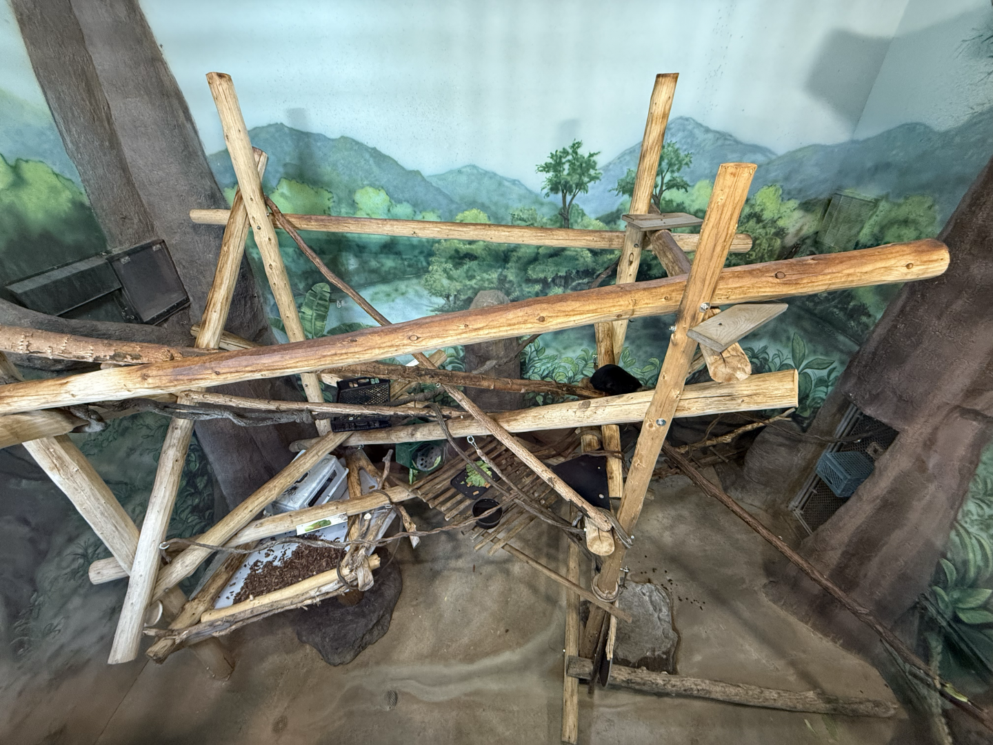 First Indoor Habitat - Primate Forest