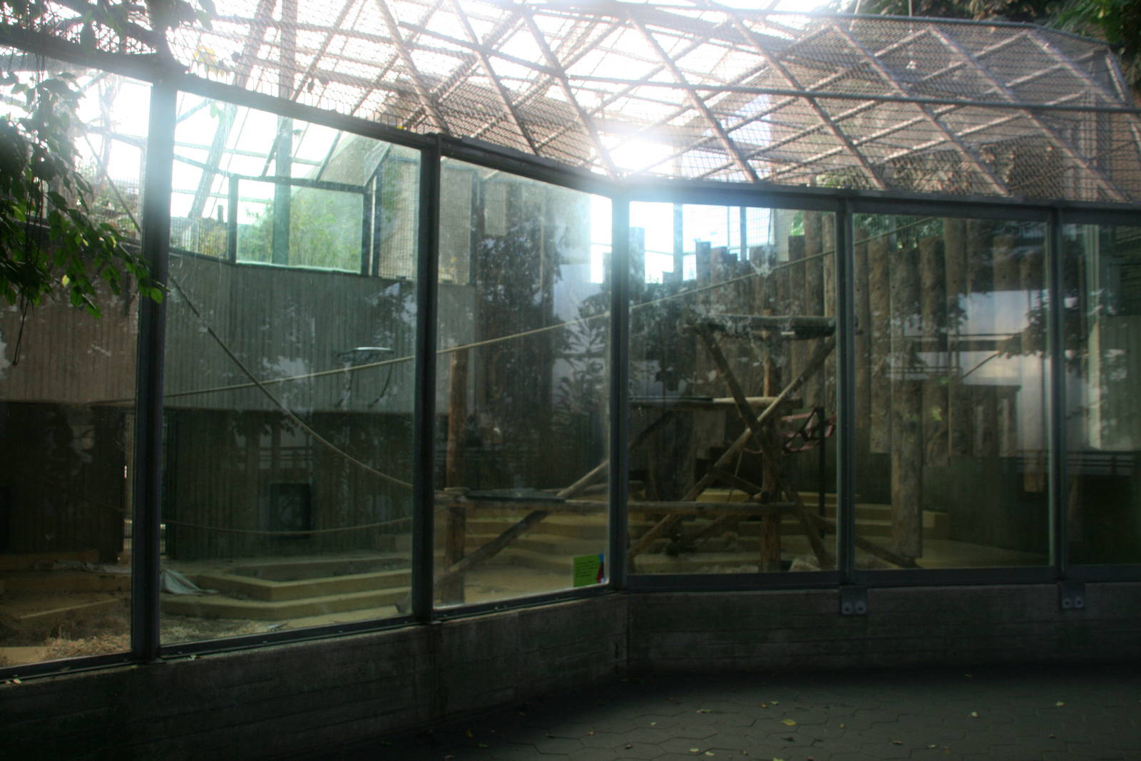 first Indoor Orangutan enclosure