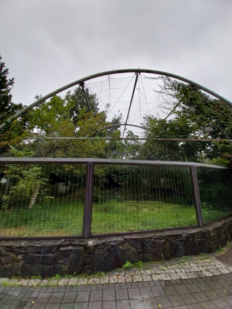 First jaguar enclosure