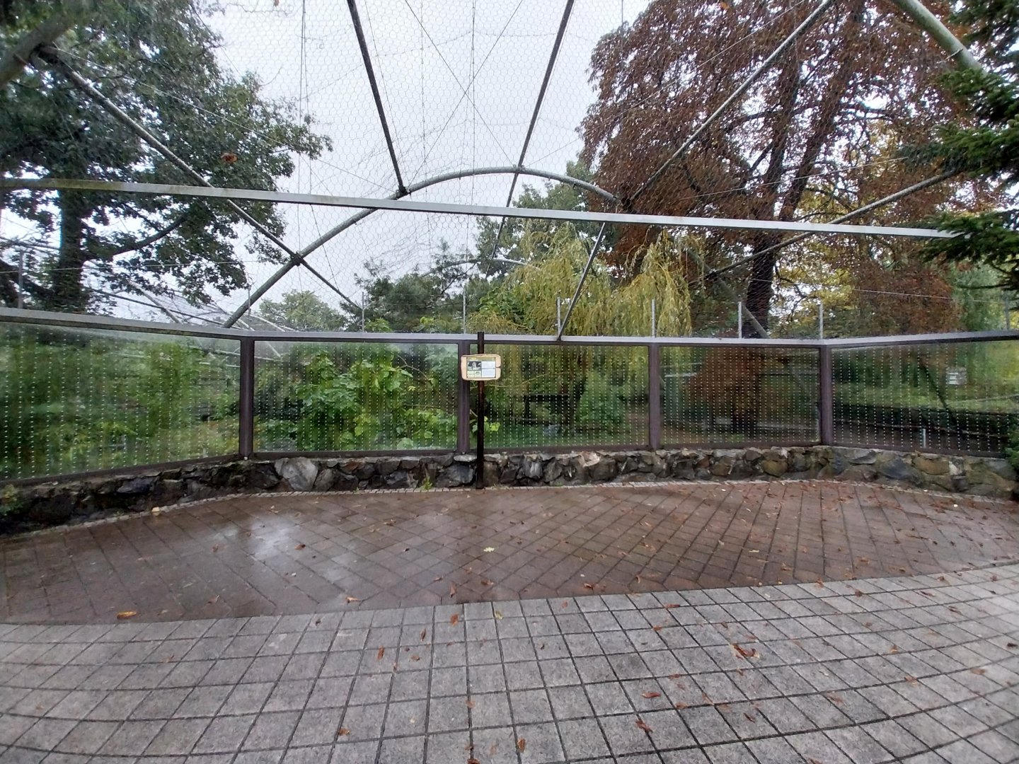 First jaguar enclosure