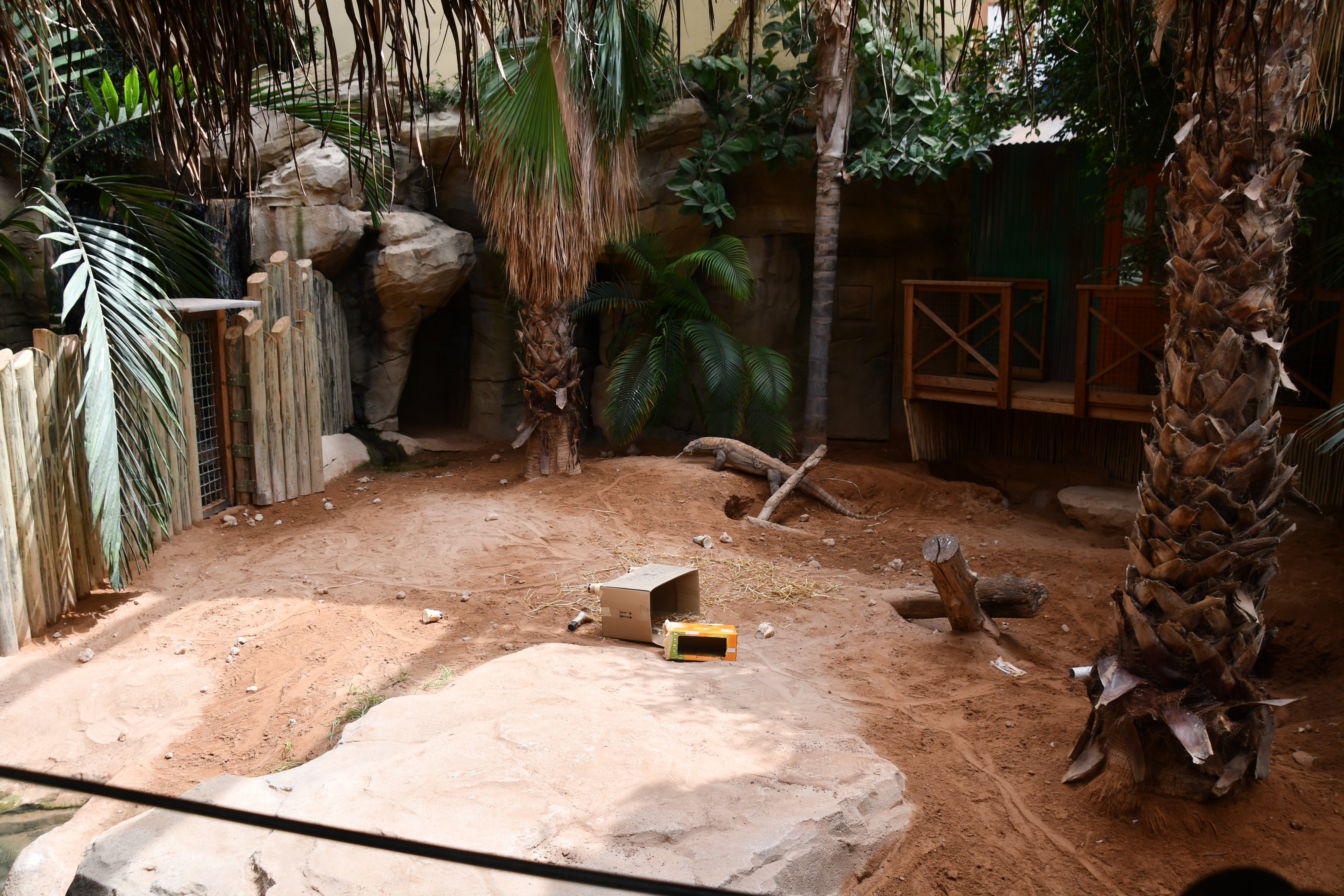 first Komodo Dragon exhibit (House of Giants)