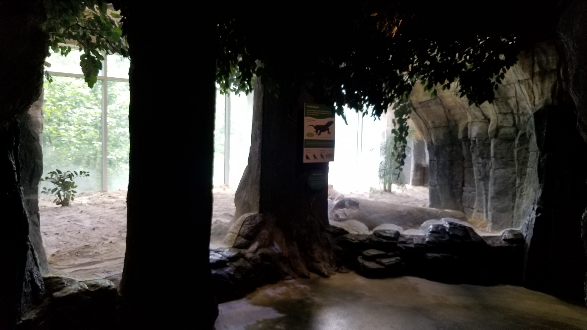 First Komodo exhibit