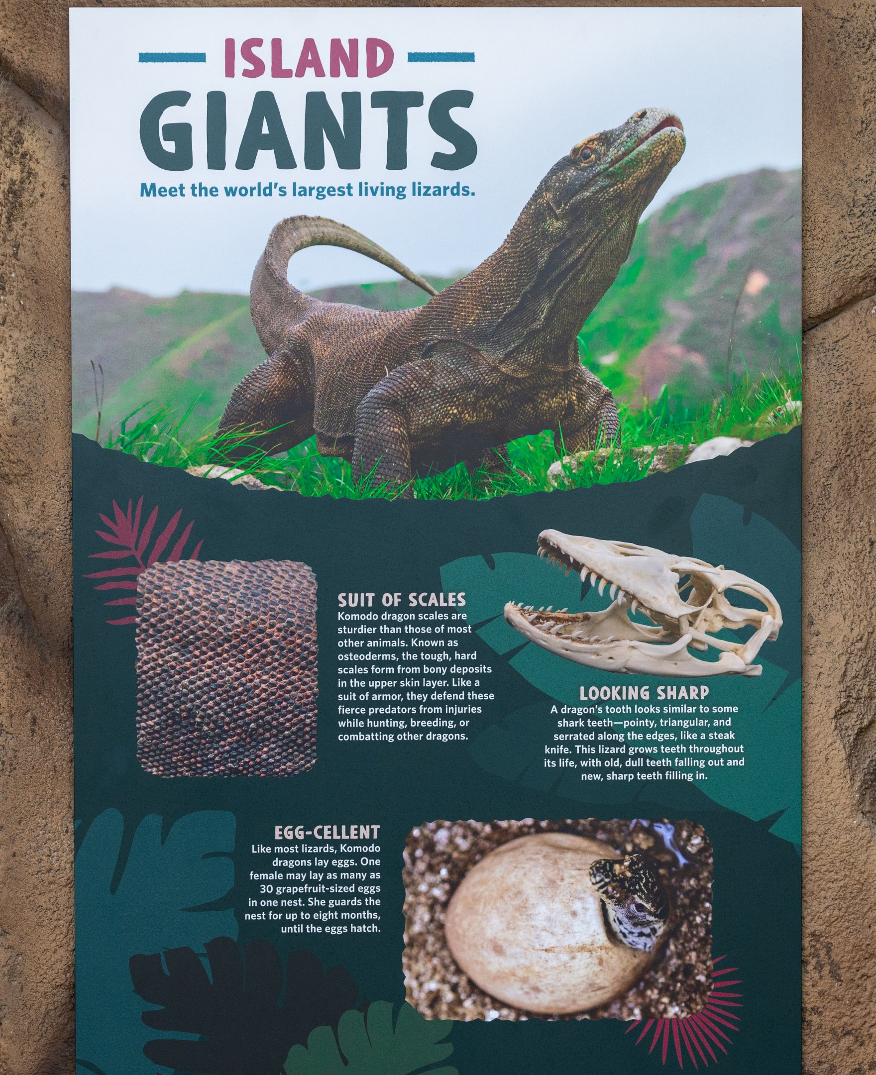 First Komodo Kingdom Signage