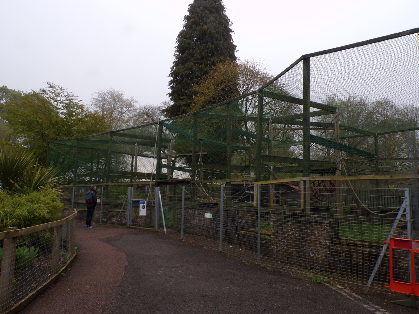 First lar gibbon enclosure 7.5.23