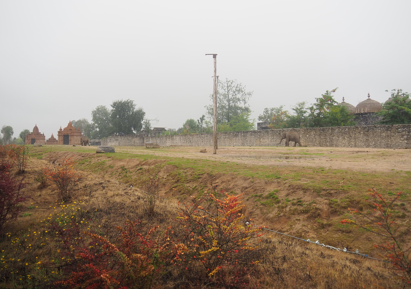 First large Asian elephant paddock seen from the train, 2022-09-14
