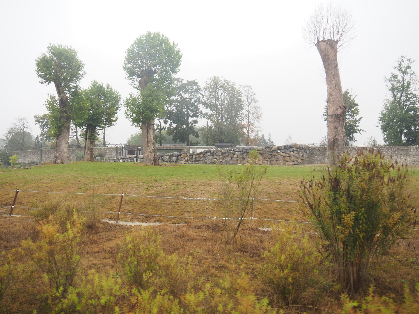 First large Asian elephant paddock seen from the train, 2022-09-14