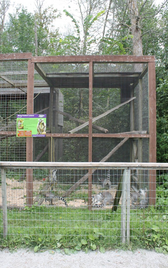 first lemur exhibit