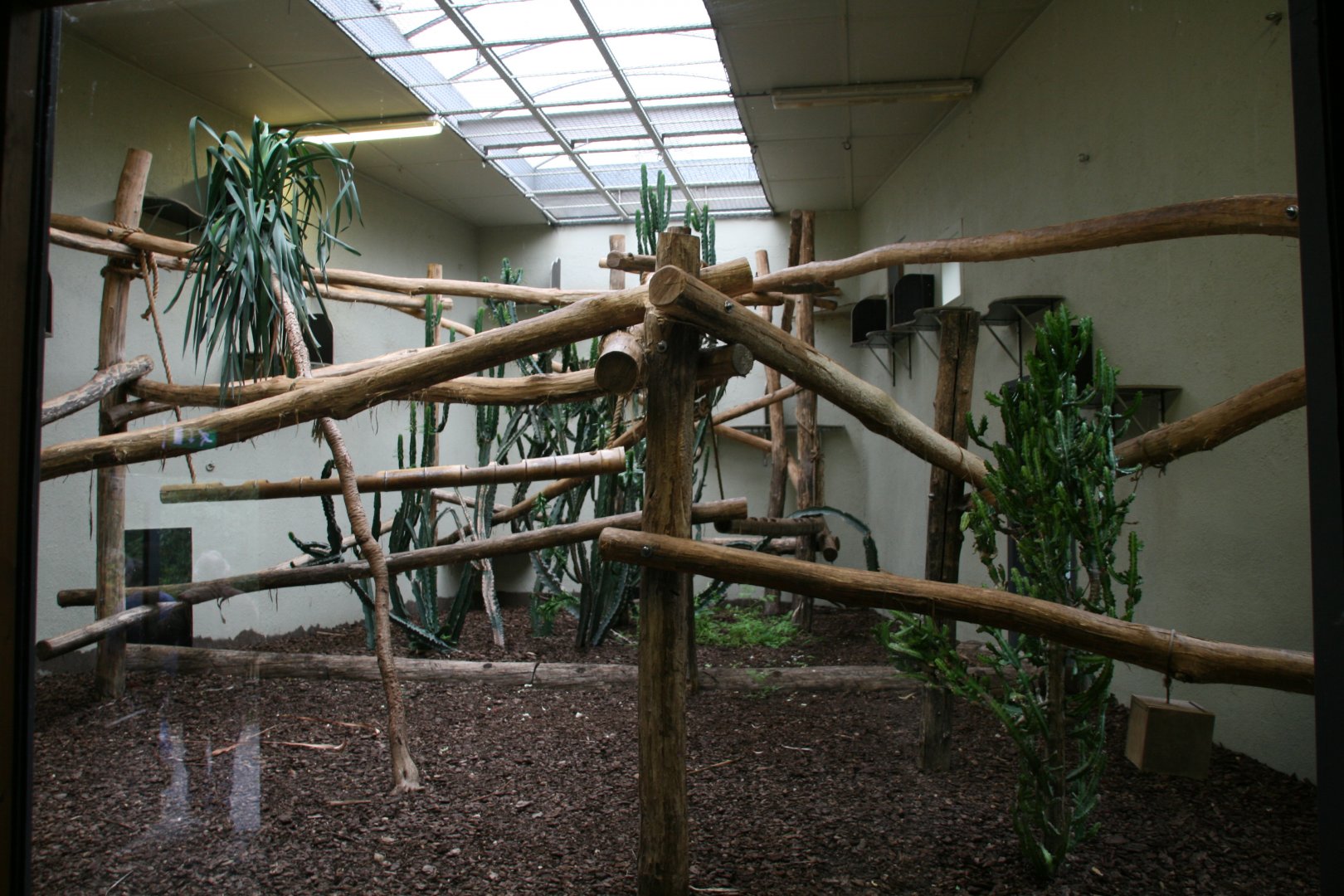 first lemur indoor eclosure