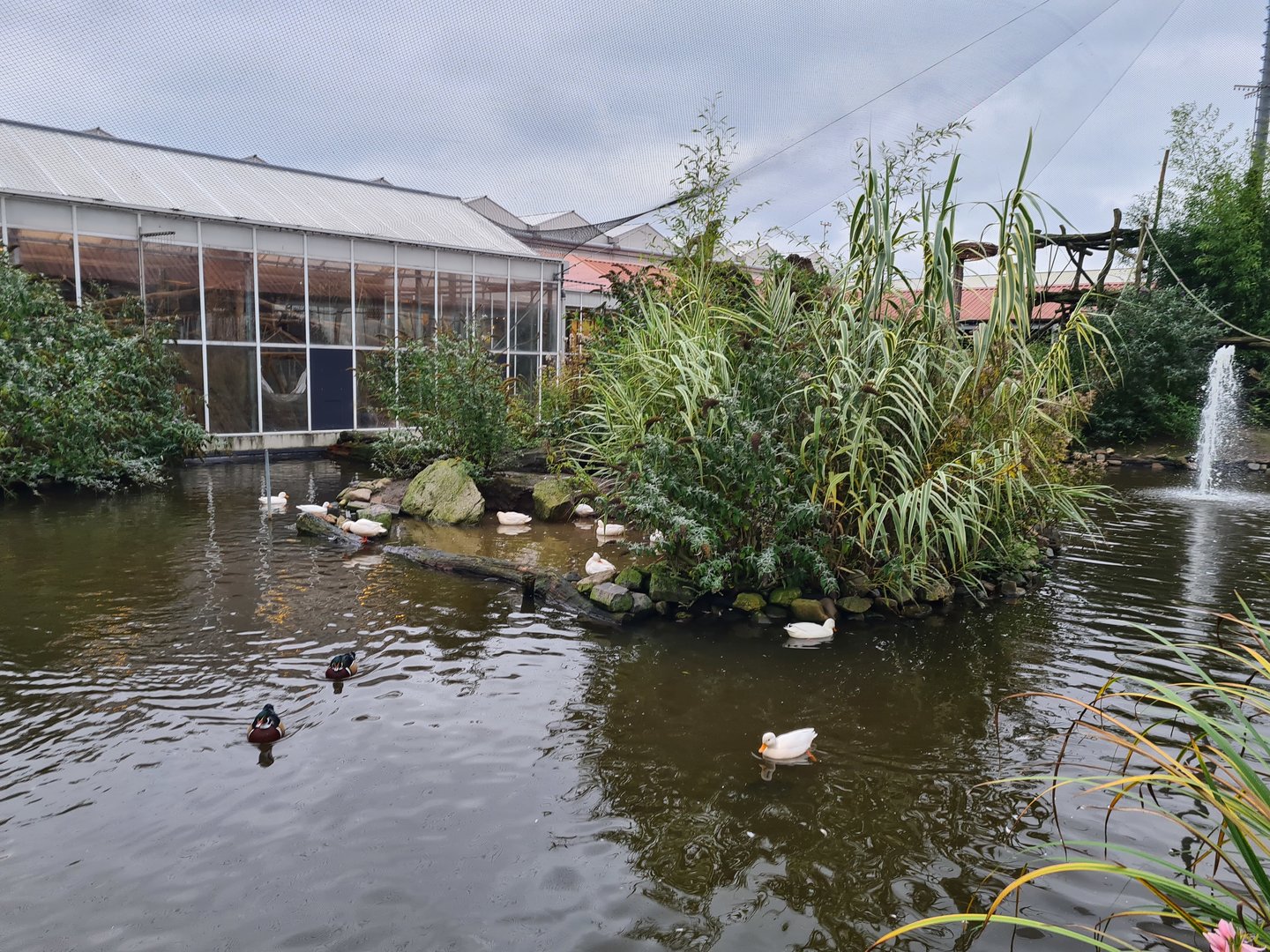 First lemur island in Lemur kingdom